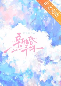 �»�����