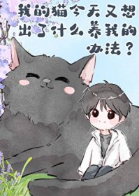 �ҵ�è�����������ʲô���ҵİ취