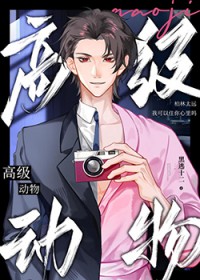 �߼�����