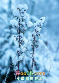 ����С����