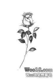 �Ƽ�֮ȫ��¢��