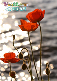 LOL֮�����Ϲұ�