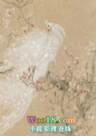 [��Ӣ��]����������