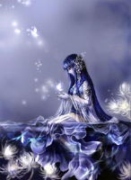 һ��������