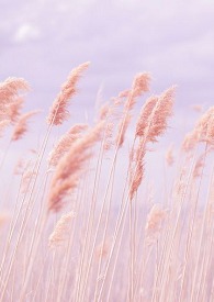 �㣬�����ҵ��֙C