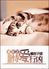 �������ϵͳ