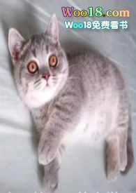 �����ڳ���һֻè