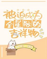 ��������ʦ