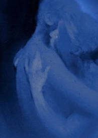 �񻴺�⣨�߸�1v1h��