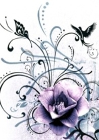 �ļ�֮��-��ǿ����