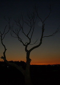 ���е��ڴ�