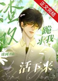 �����������޳�������