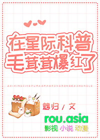 ���Ǽʿ���ë���ױ�����